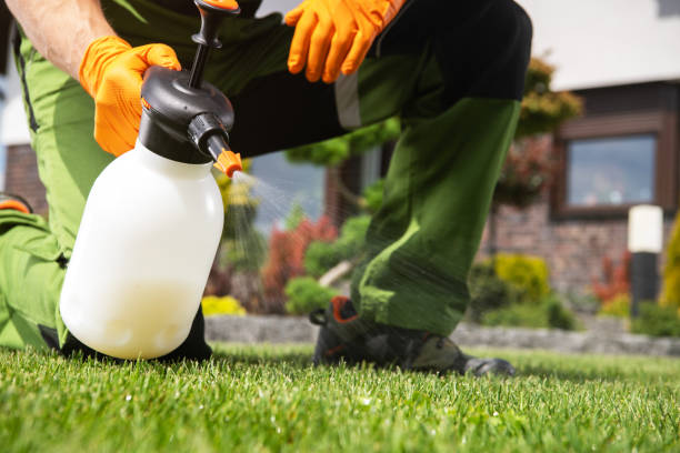 Best Rat Extermination Near Me  in Island Park, NY
