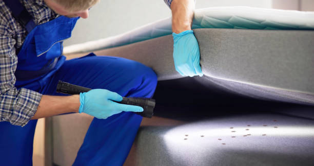 Best Residential Pest Control  in Island Park, NY