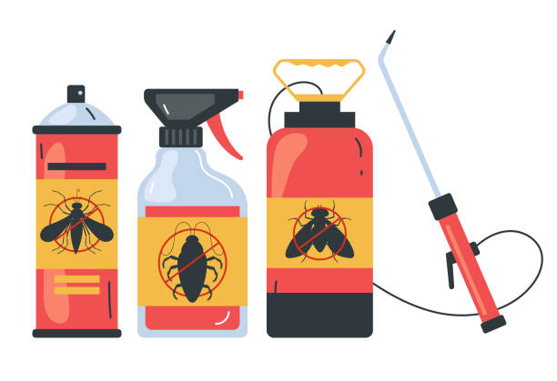 Reliable Island Park, NY Pest Control Solutions